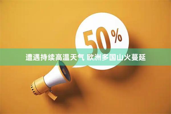 遭遇持续高温天气 欧洲多国山火蔓延